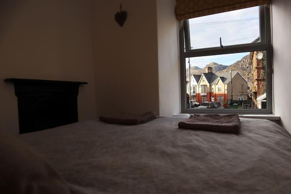 Dol Bach - Your Homely Welsh Cottage In The Heart Of Snowdonia Blaenau Ffestiniog Extérieur photo