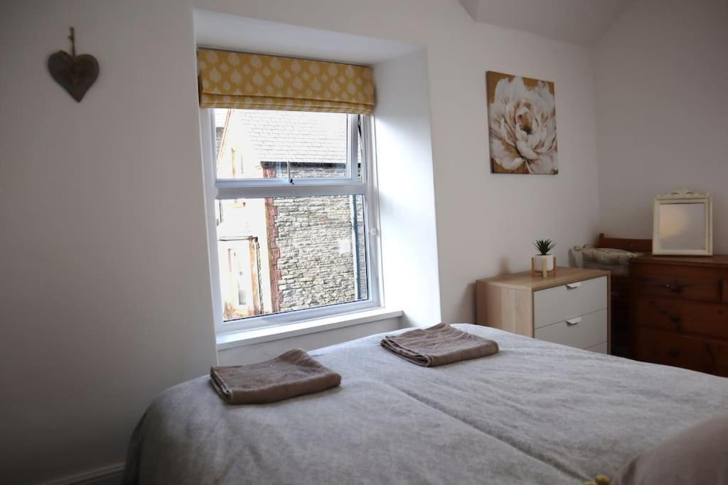 Dol Bach - Your Homely Welsh Cottage In The Heart Of Snowdonia Blaenau Ffestiniog Extérieur photo