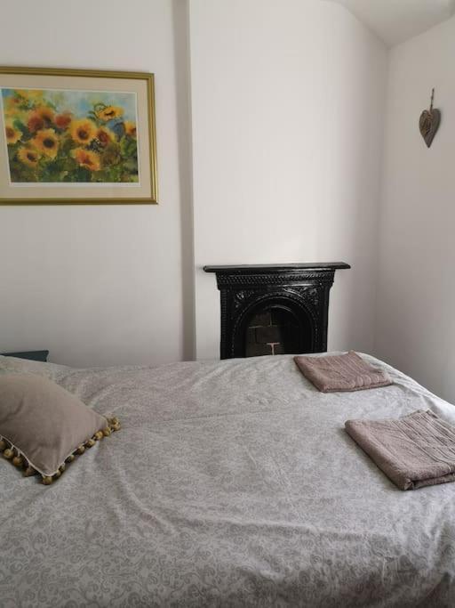 Dol Bach - Your Homely Welsh Cottage In The Heart Of Snowdonia Blaenau Ffestiniog Extérieur photo