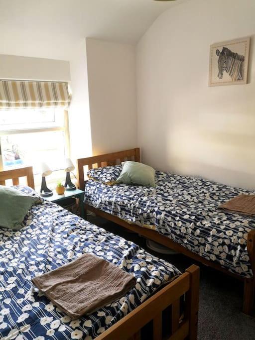 Dol Bach - Your Homely Welsh Cottage In The Heart Of Snowdonia Blaenau Ffestiniog Extérieur photo
