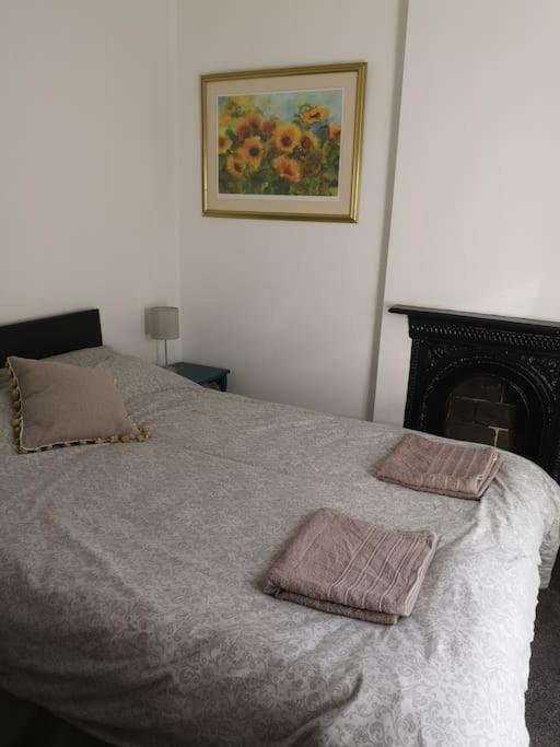 Dol Bach - Your Homely Welsh Cottage In The Heart Of Snowdonia Blaenau Ffestiniog Extérieur photo